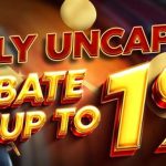 Daily Uncapped Rebate Up to 1%