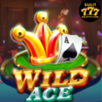 Sulit777-wild ace